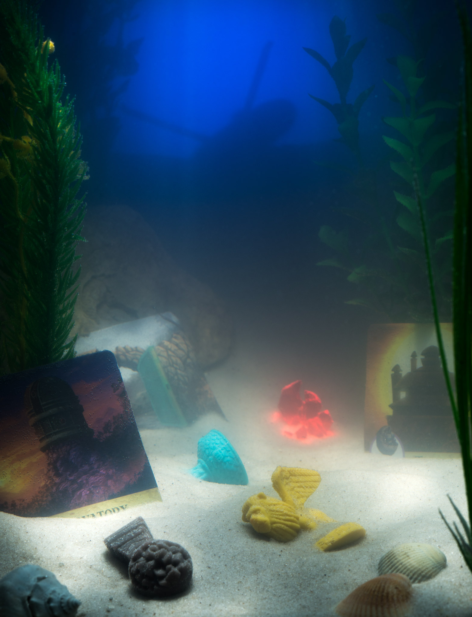 Forbidden Island cooperative tabletop game