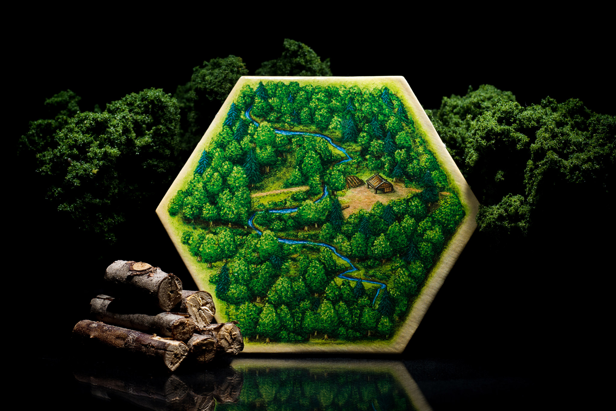 Forest hex tile from Catan