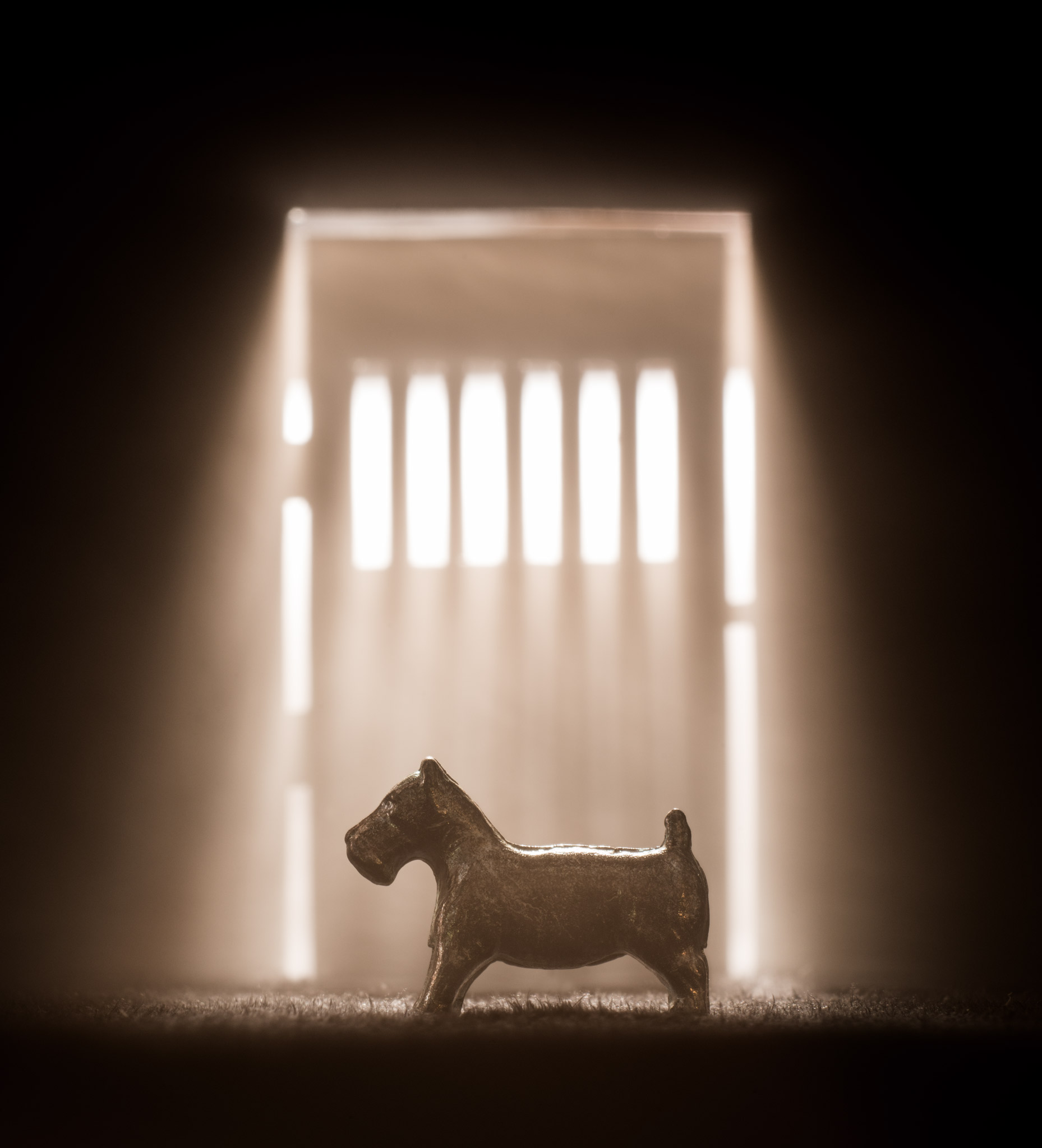 Bad dog in jail from Monopoly